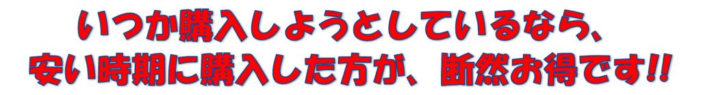 いつか購入しようとしているなら、安い時期に購入した方が、断然お得です！！